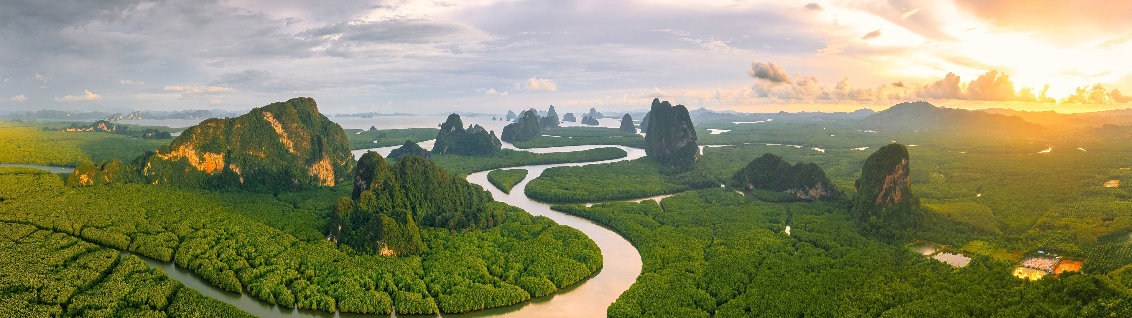 4K Mangrove Forest Wallpaper