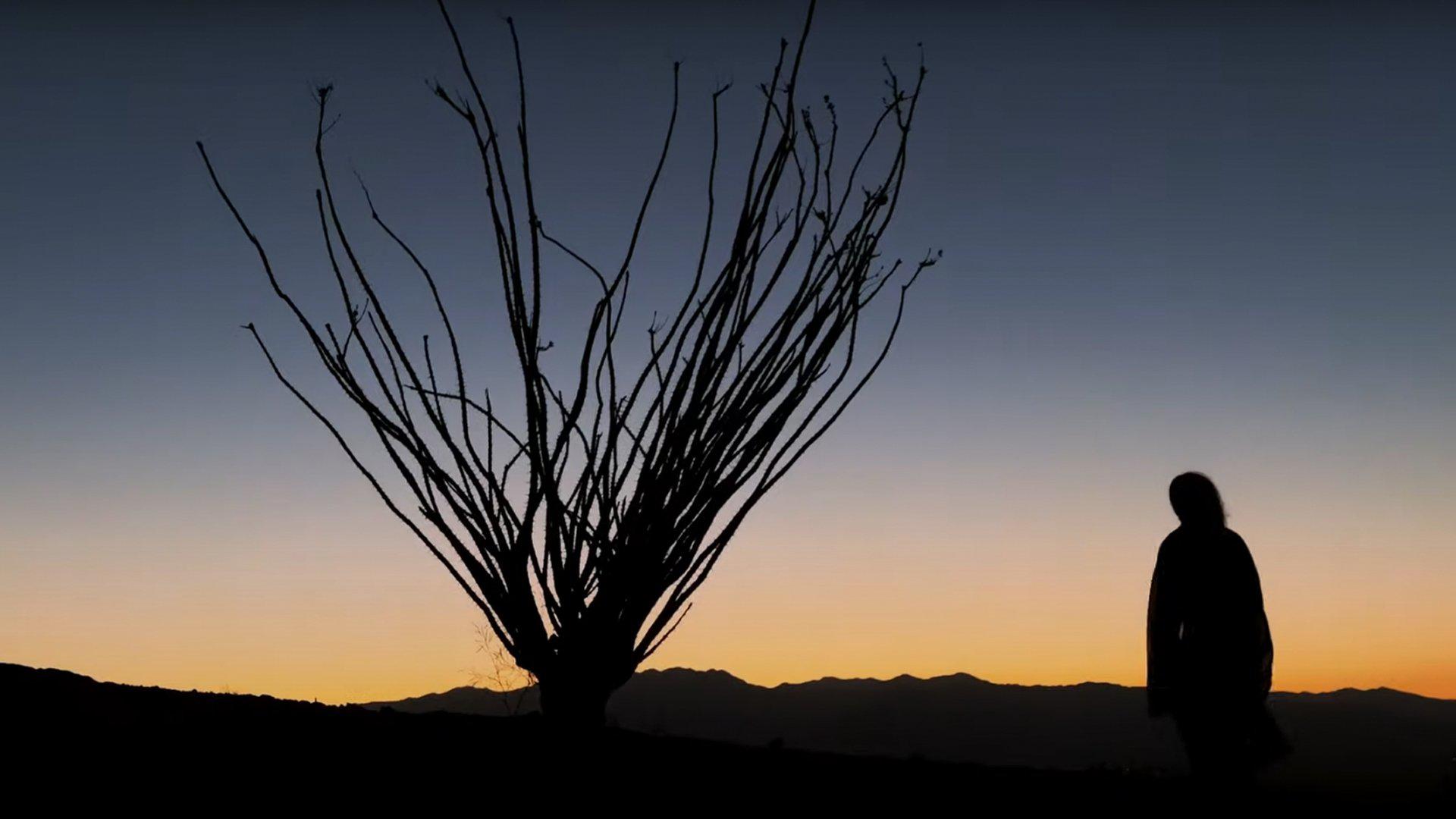 Emmanuel Lubezki Wallpapers - Wallpaper Cave