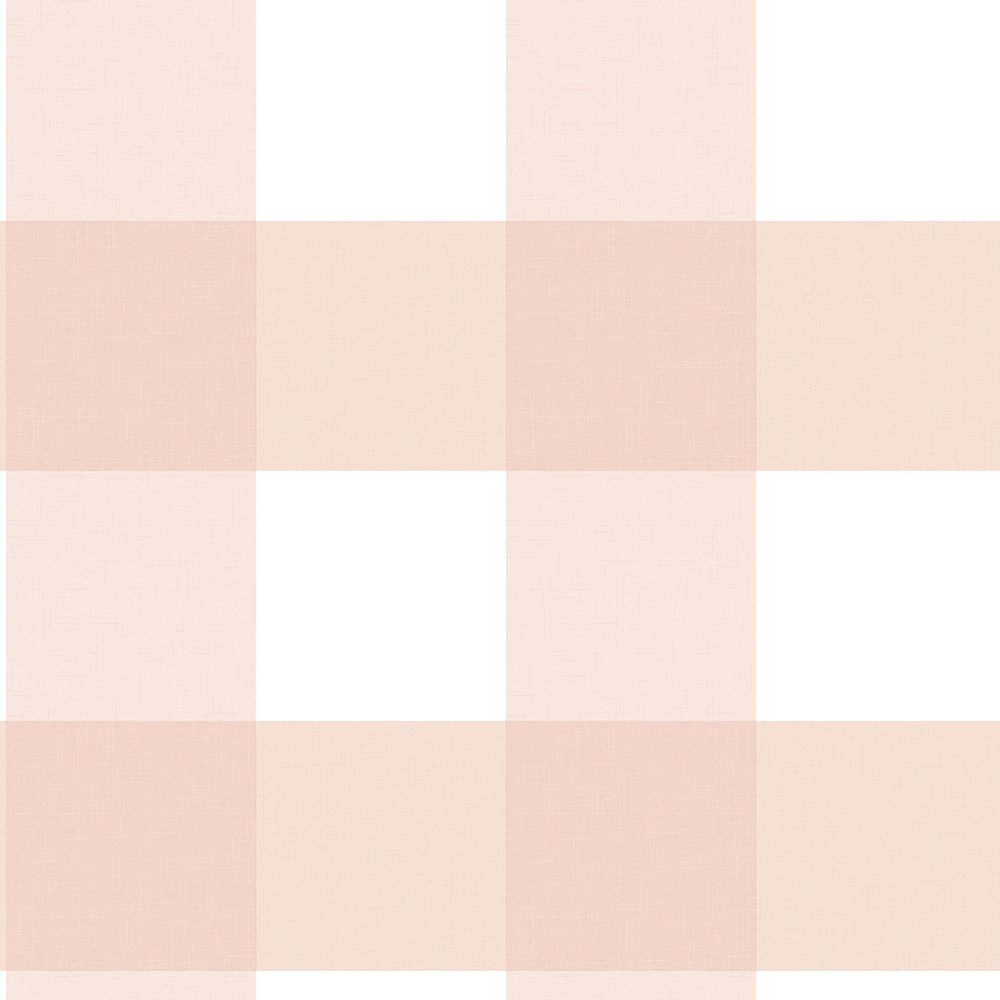 Chesapeake Amos Light Pink Gingham