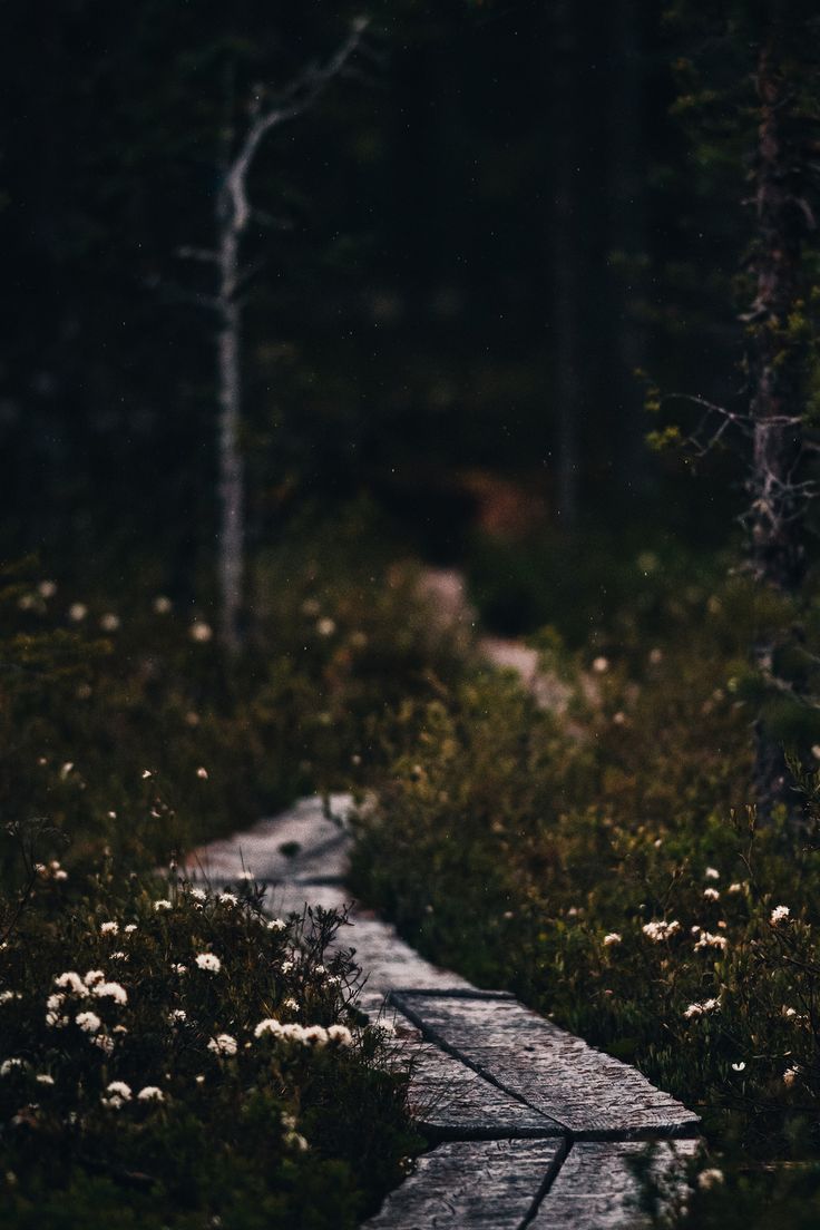 Moody Nature