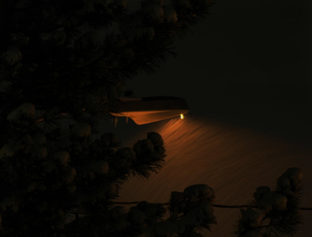 moody aesthetic of this image