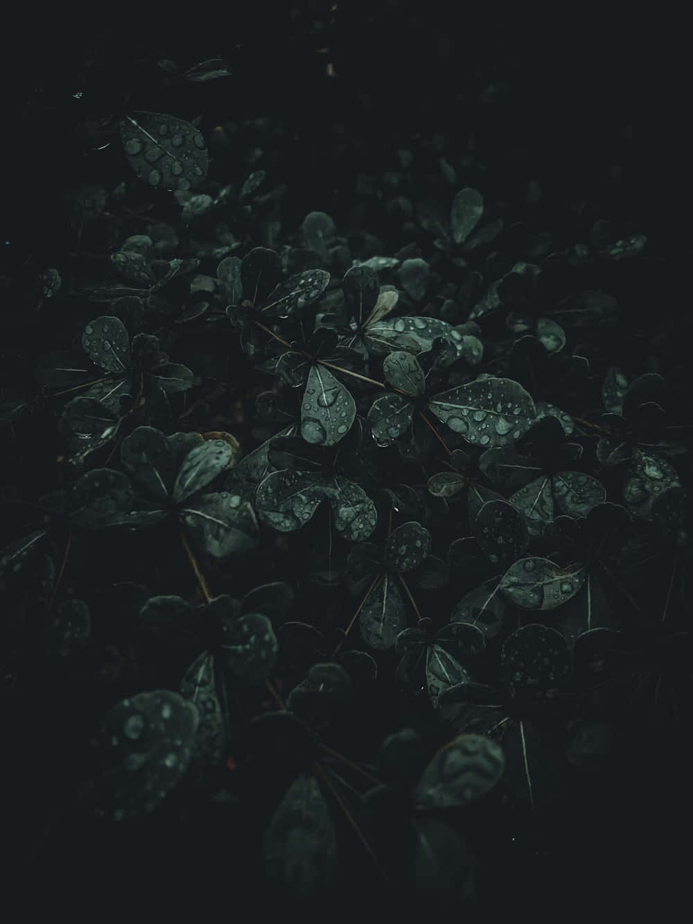 Dark Moody Wallpaper