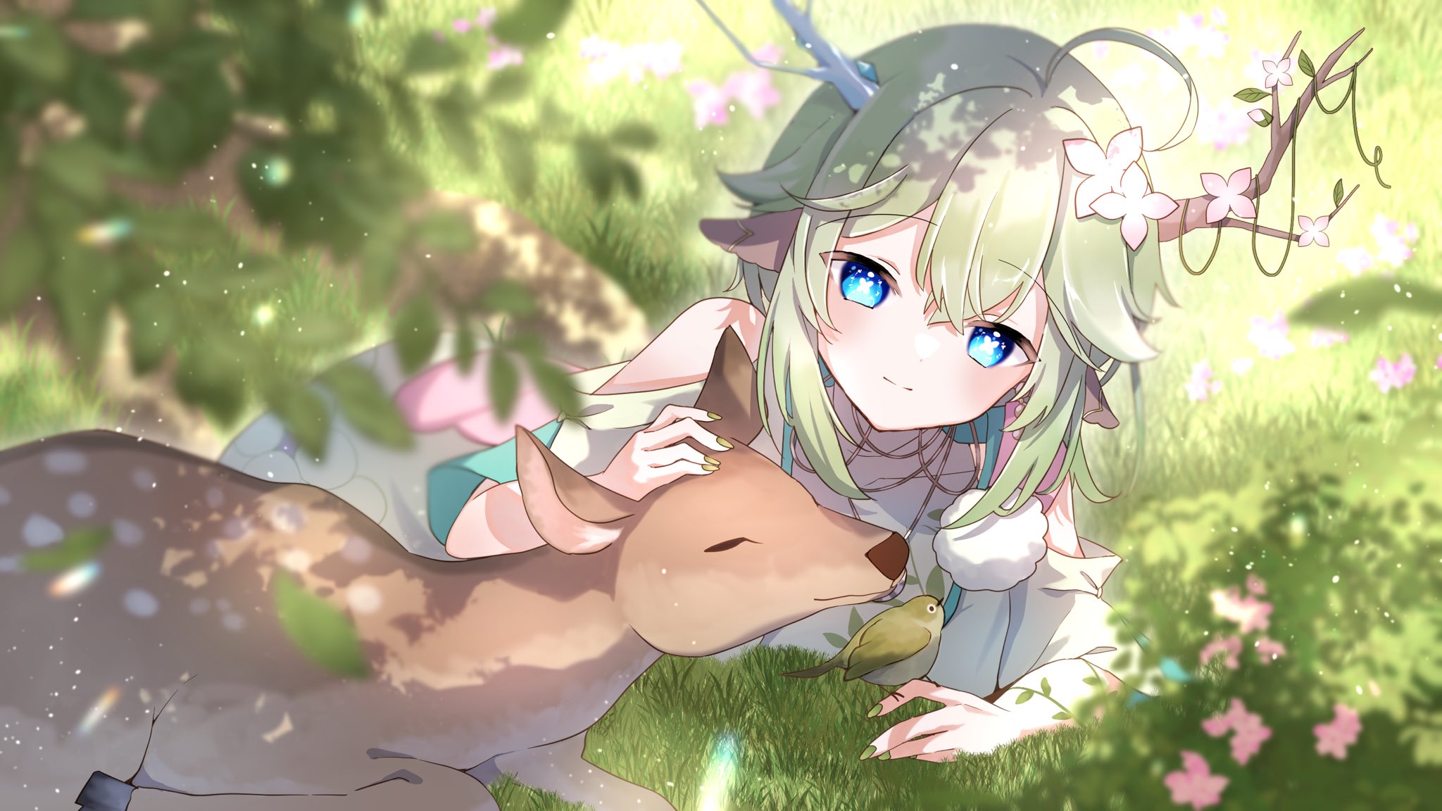 shikanoko nokonoko koshitantan