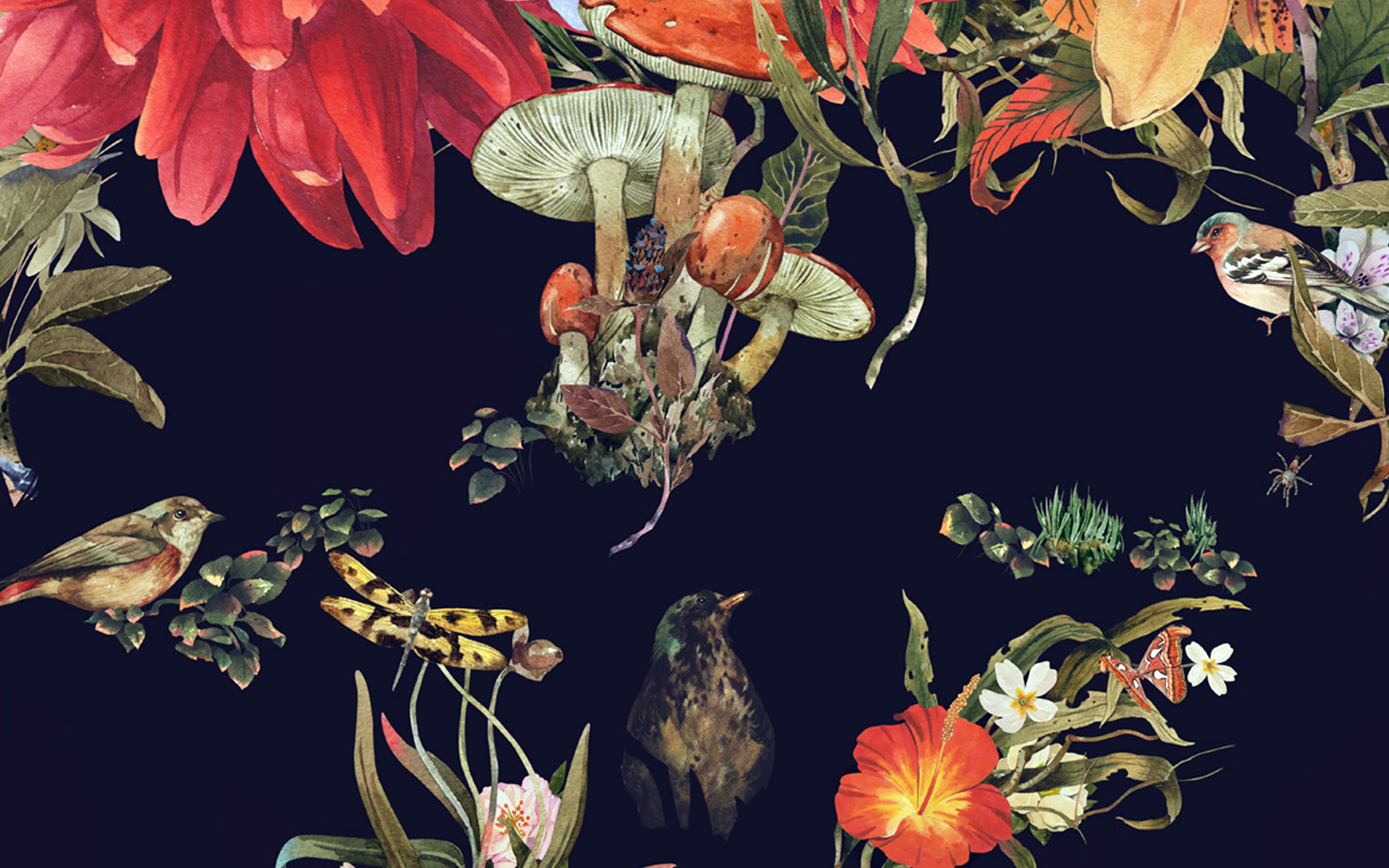 Flower Drawing Illust Paint Art Dark