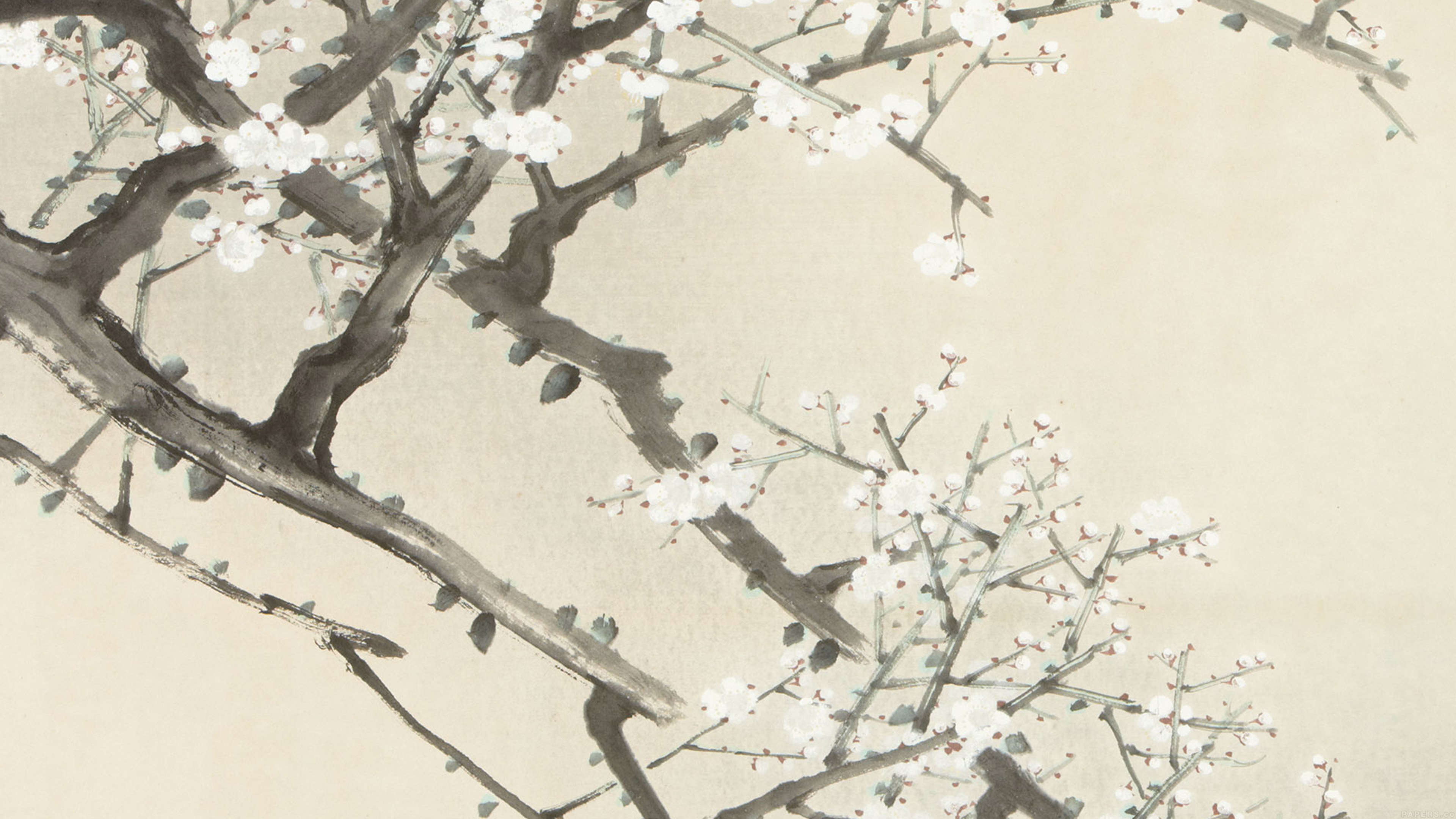 Oriental Art Flower Painting Illust