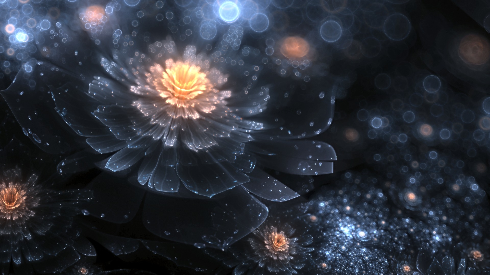 Wallpaper flower, night, flower, art