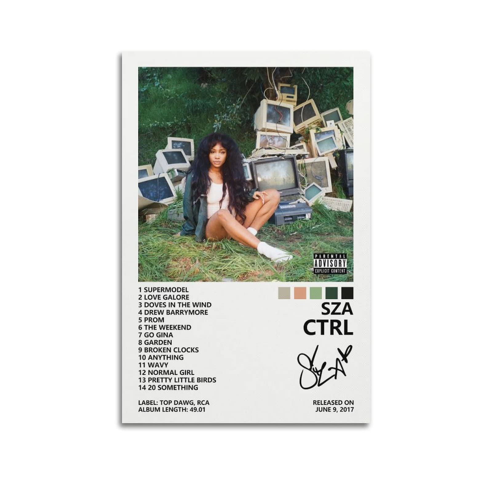 SUANYE Sza Poster Ctrl Album Cover