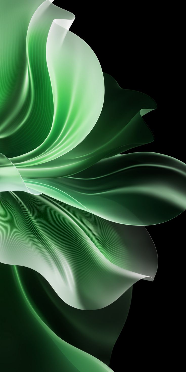 Oppo Reno 11 Pro Wallpaper