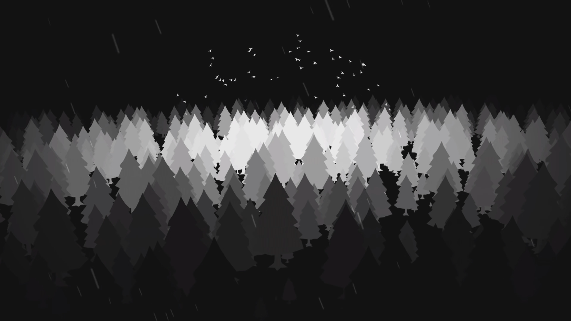 Black and white forest [1920x1080], r