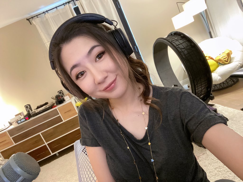 playing Animal Crossing