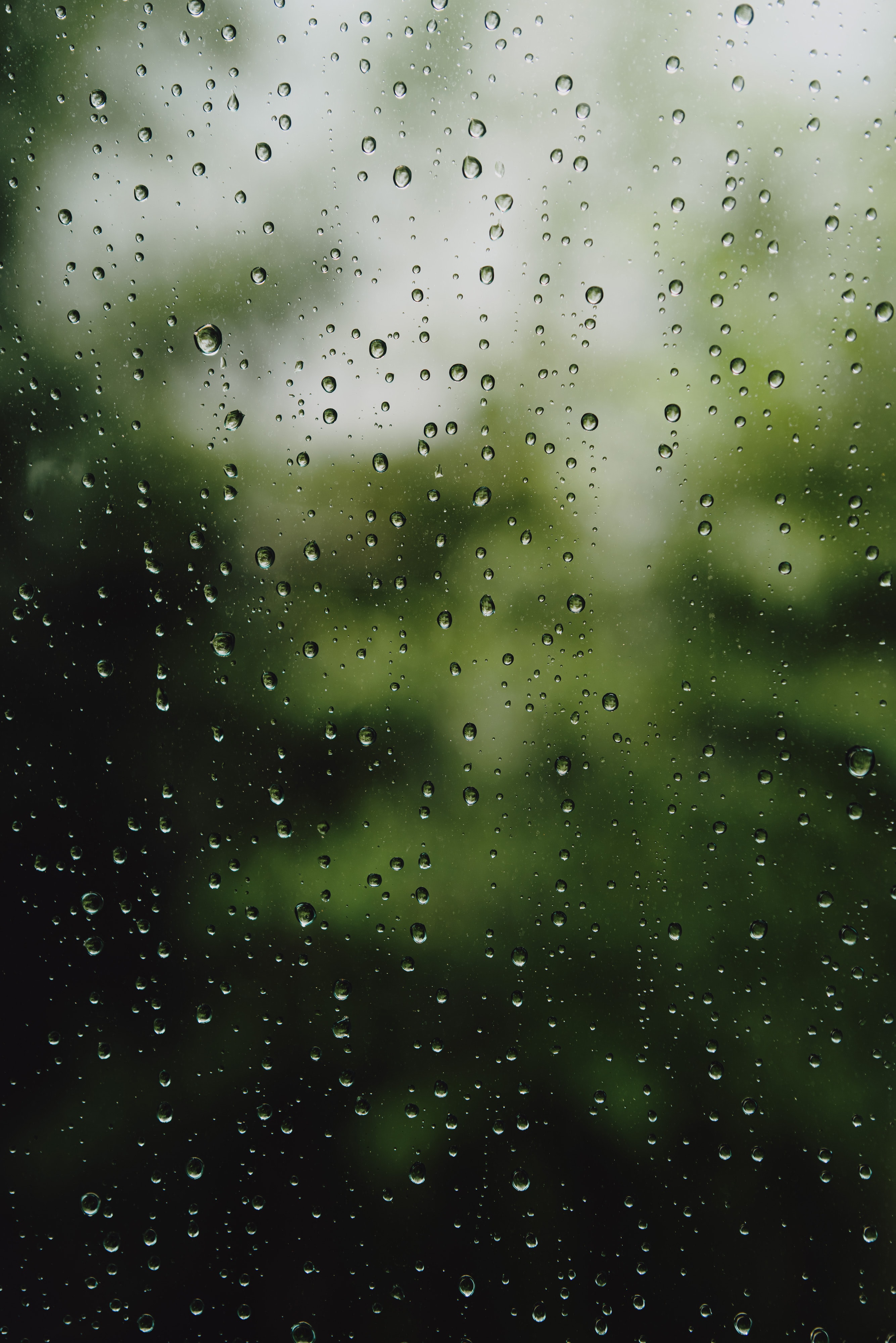 Rain Phone Wallpaper: Free 4K & HD Downloads