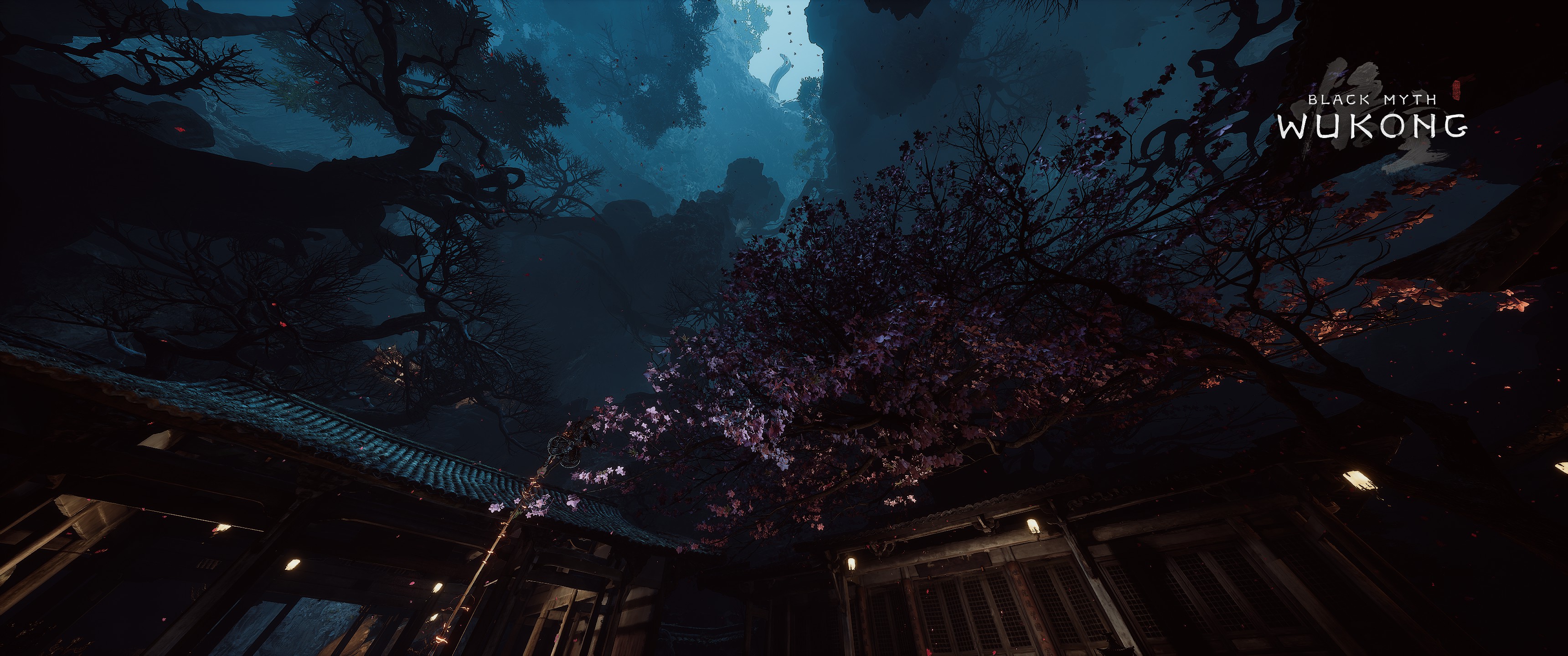 Black Myth: Wukong, PC gaming, video