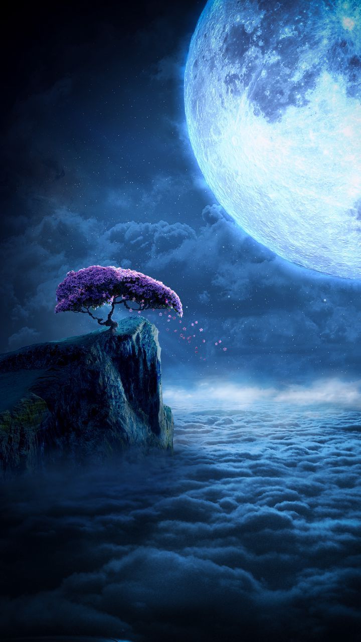 Free HD wallpaper sakura, cliff, clouds