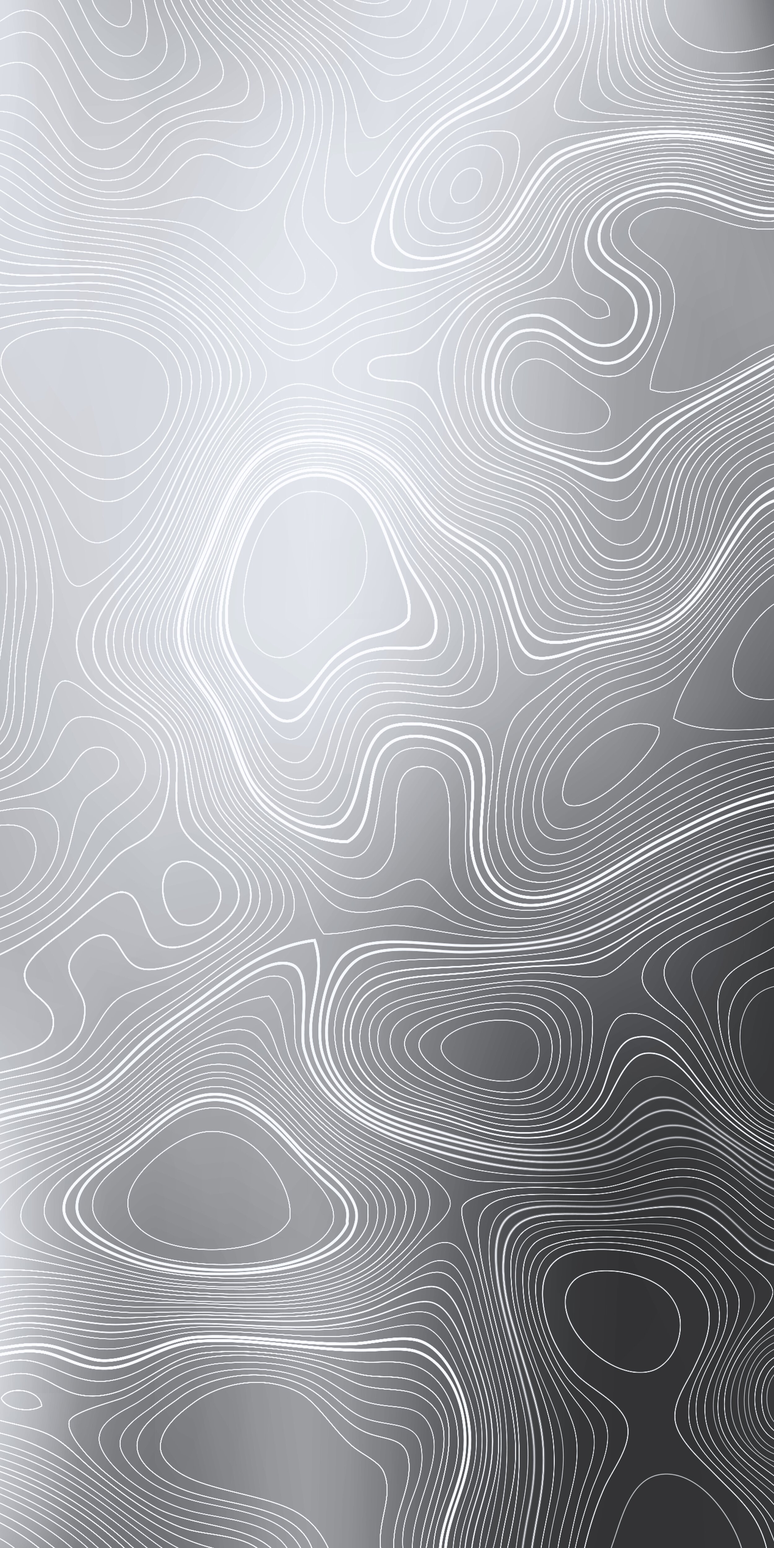 All Keys Fishing Charters