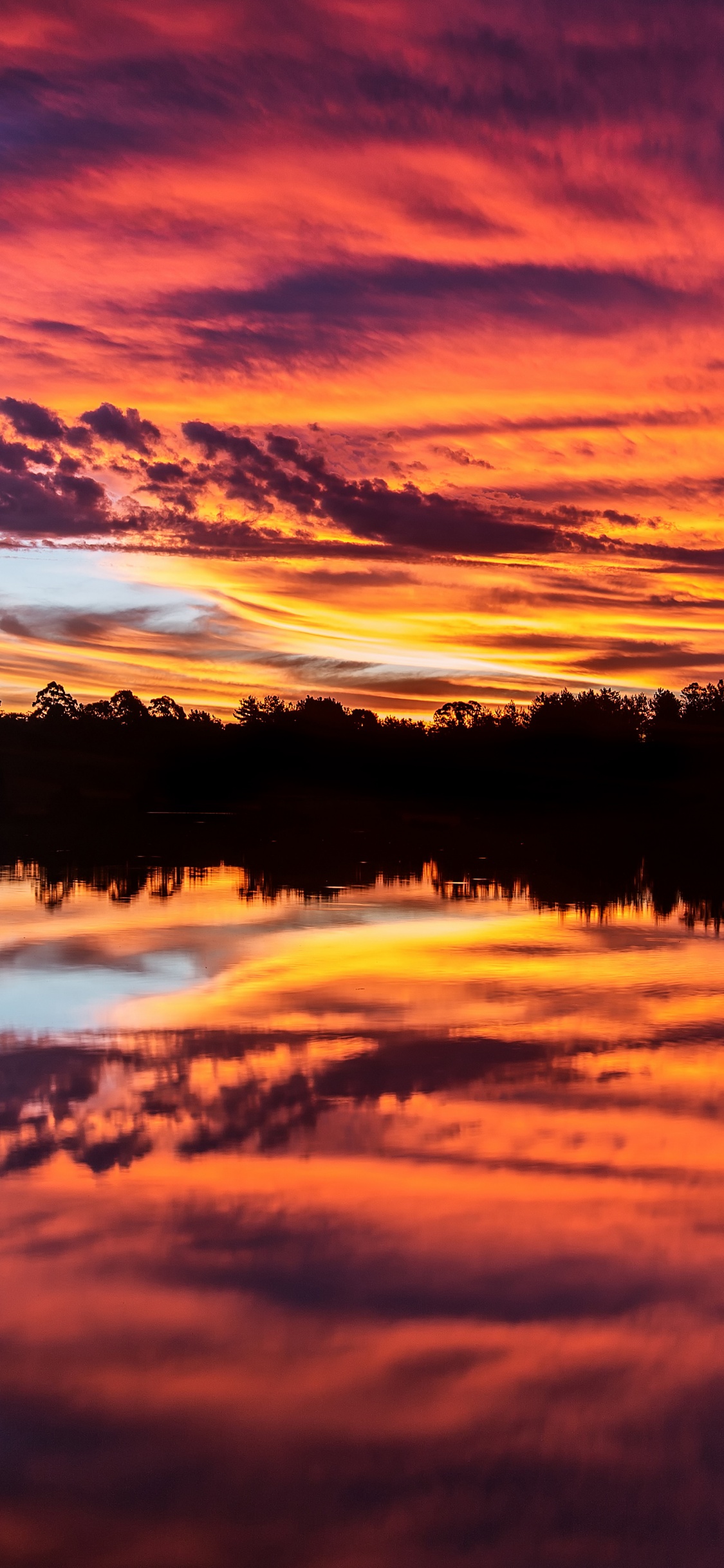 Sunset over a lake with trees 5K Wallpaper
