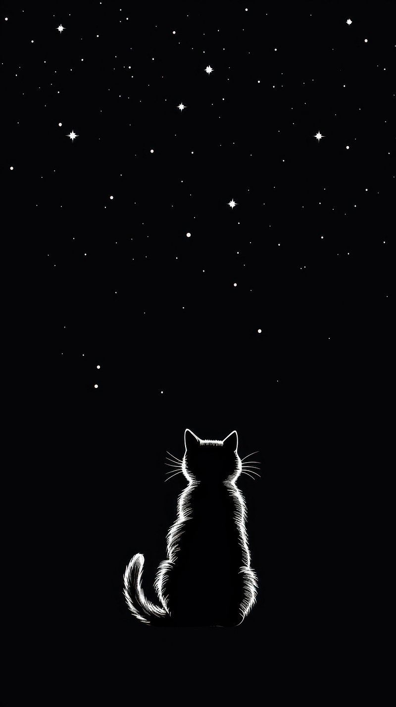 iPhone Wallpaper Cat Image. Free