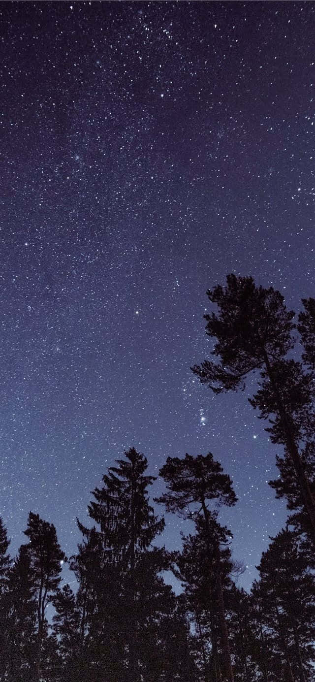 Night Time Wallpaper