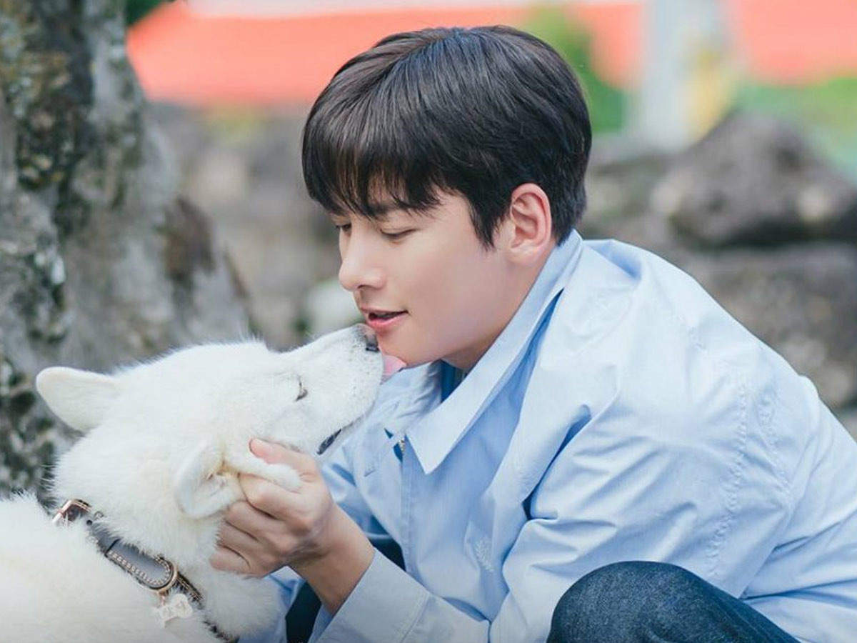 Dreamy Stills From Ji Chang Wook
