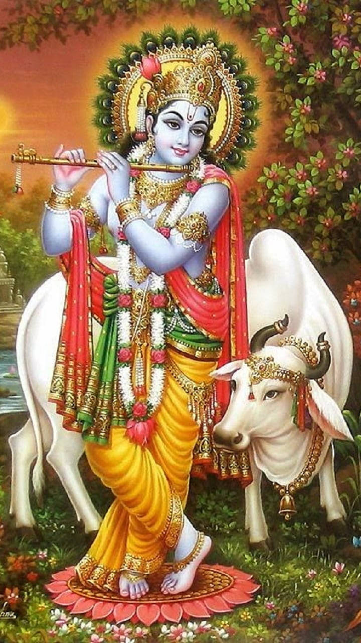 Download Krishna HD White Cow Wallpaper