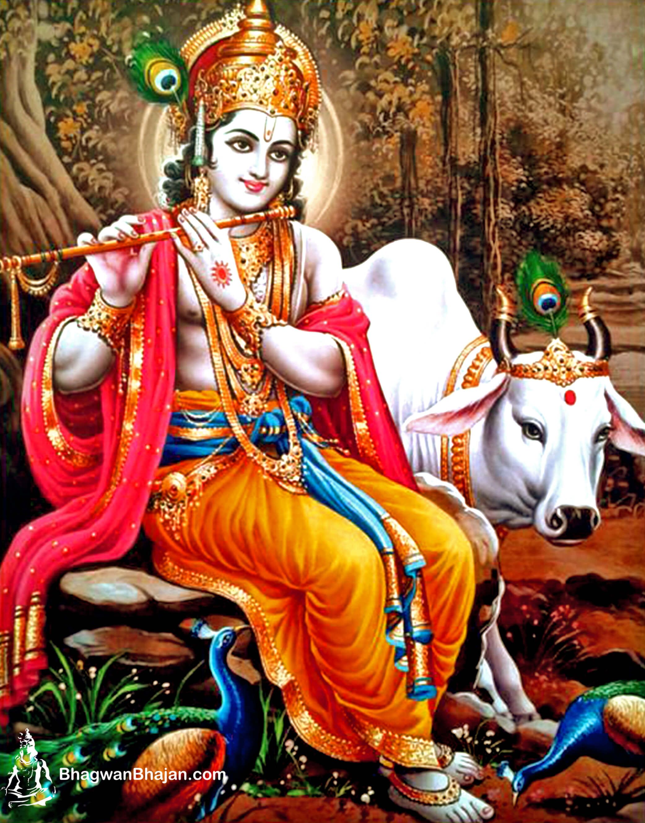 Holy Cow Wallpaper Classic Krishna