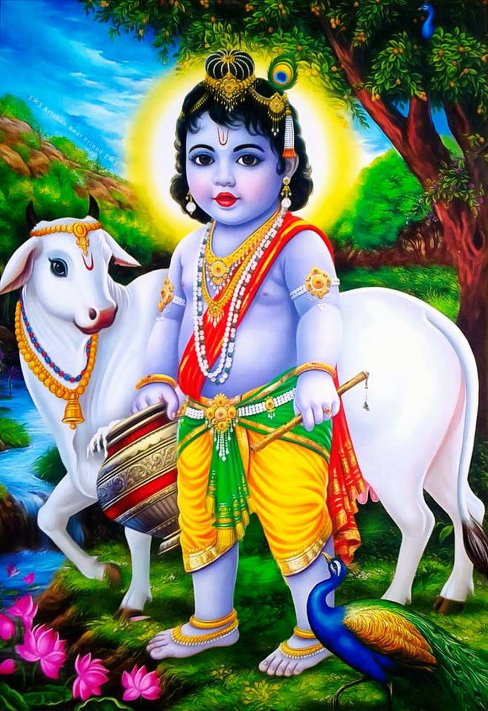 Little Krishna With Cow Image 52