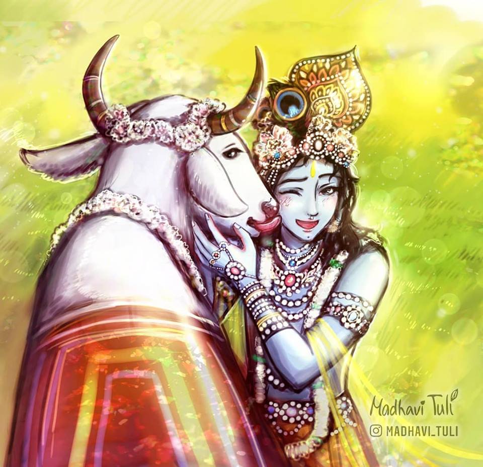 young cows joyfully worship Krishna