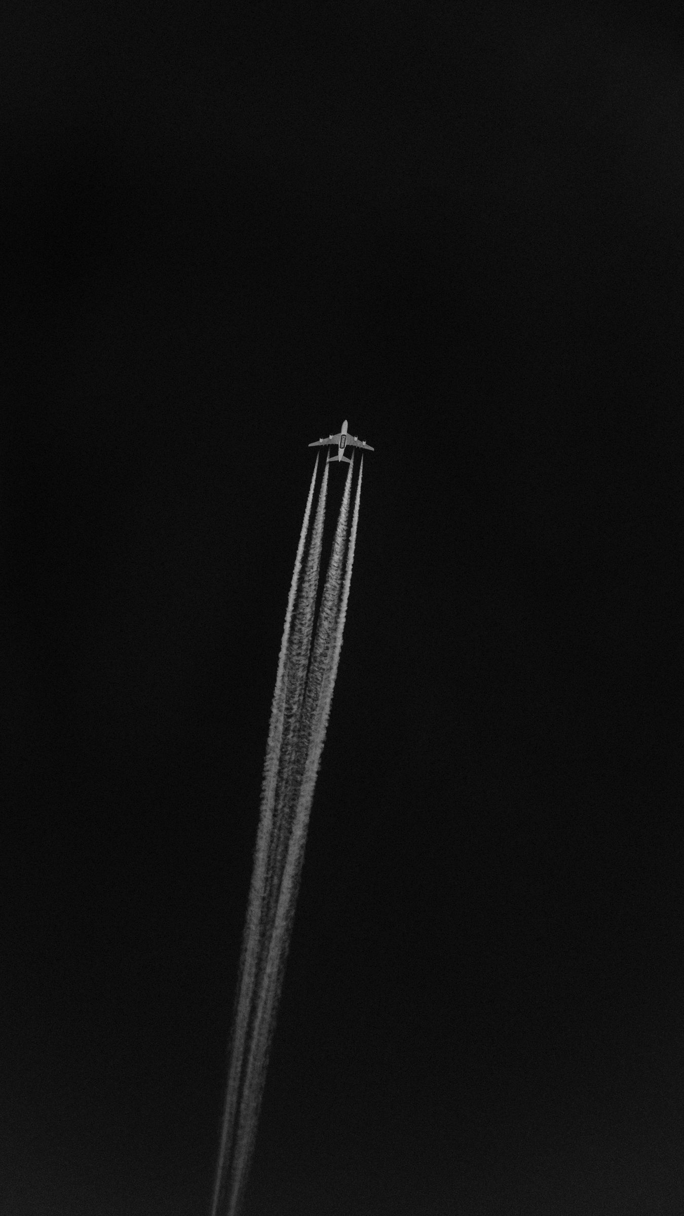 Download wallpaper 1350x2400 plane bw