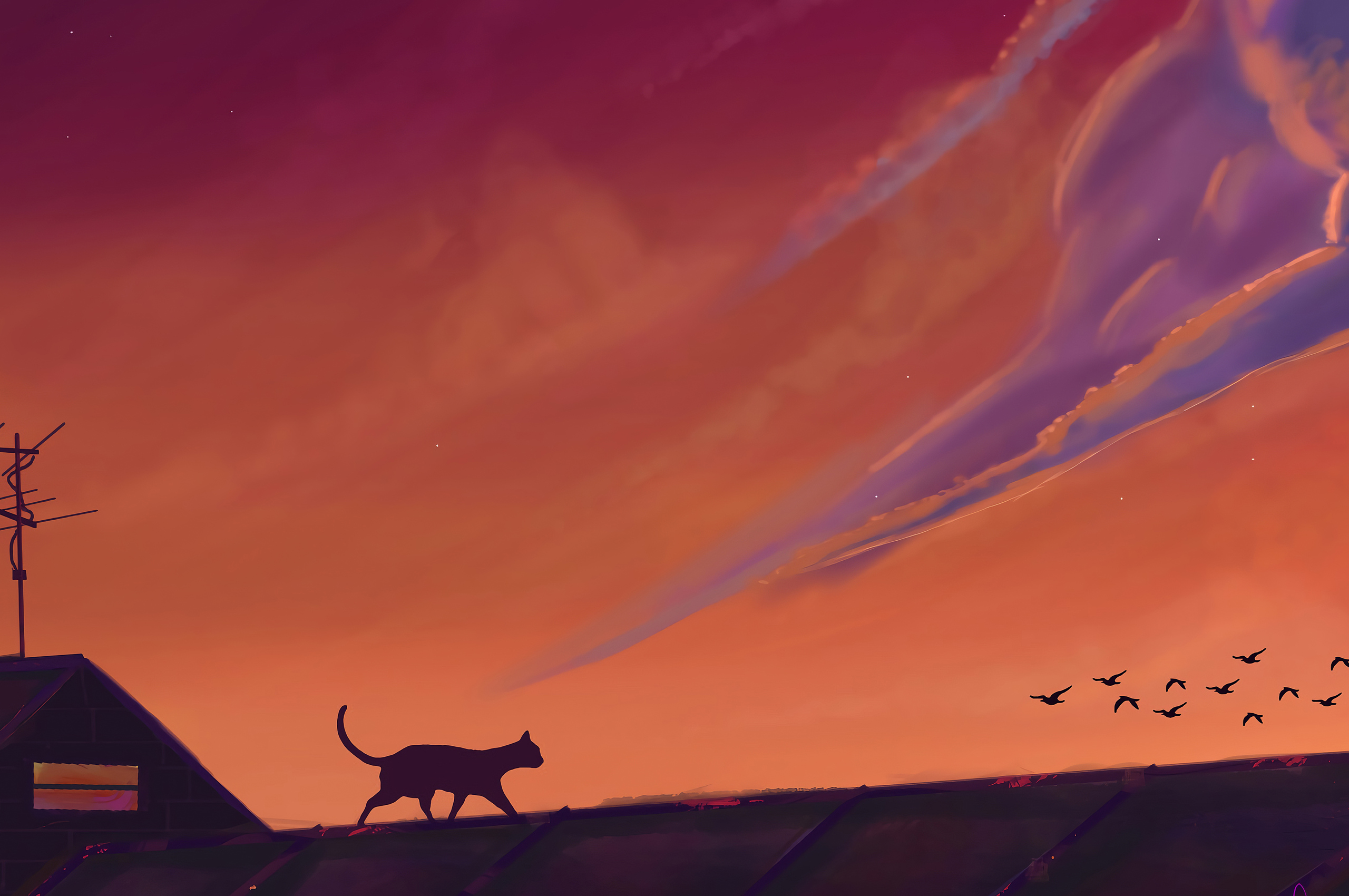 Art 4k Chromebook Pixel