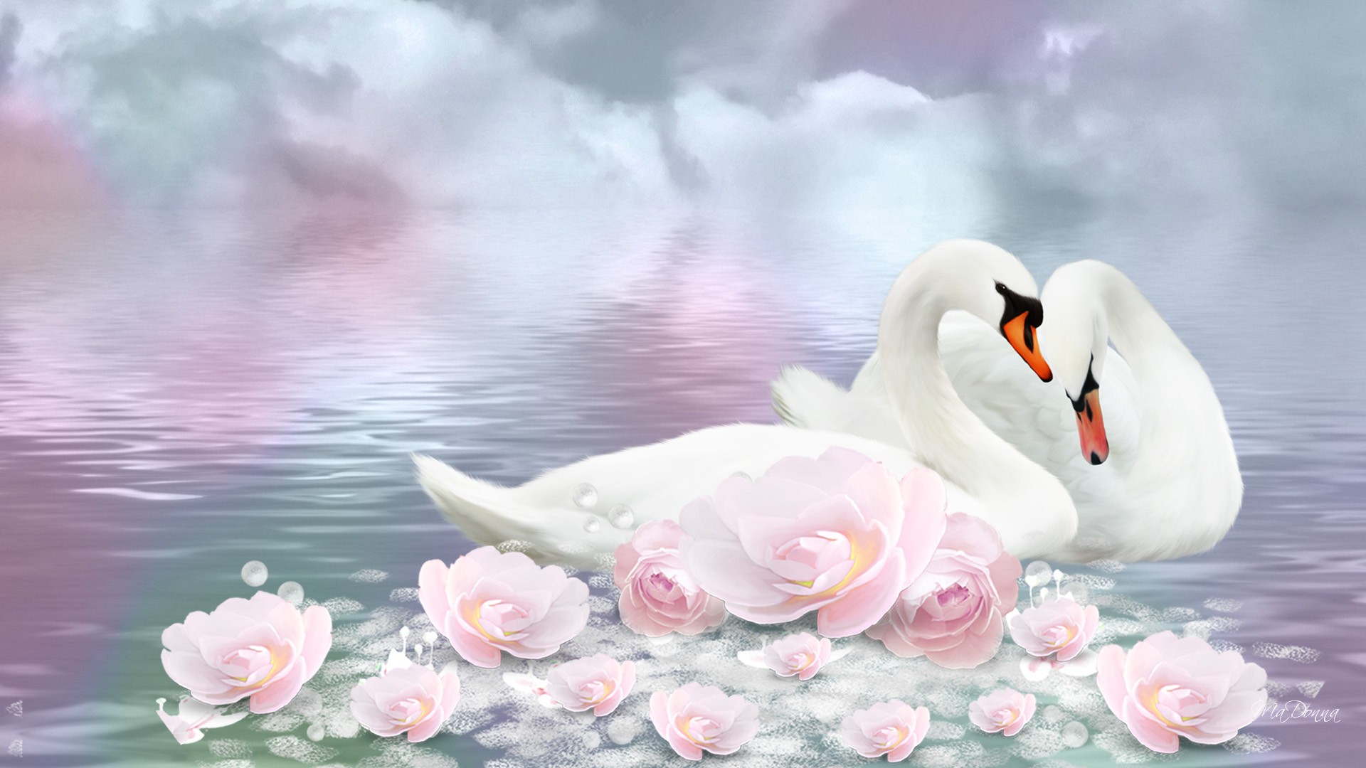 HD Wallpaper of Swans Amidst Lotus Flowers