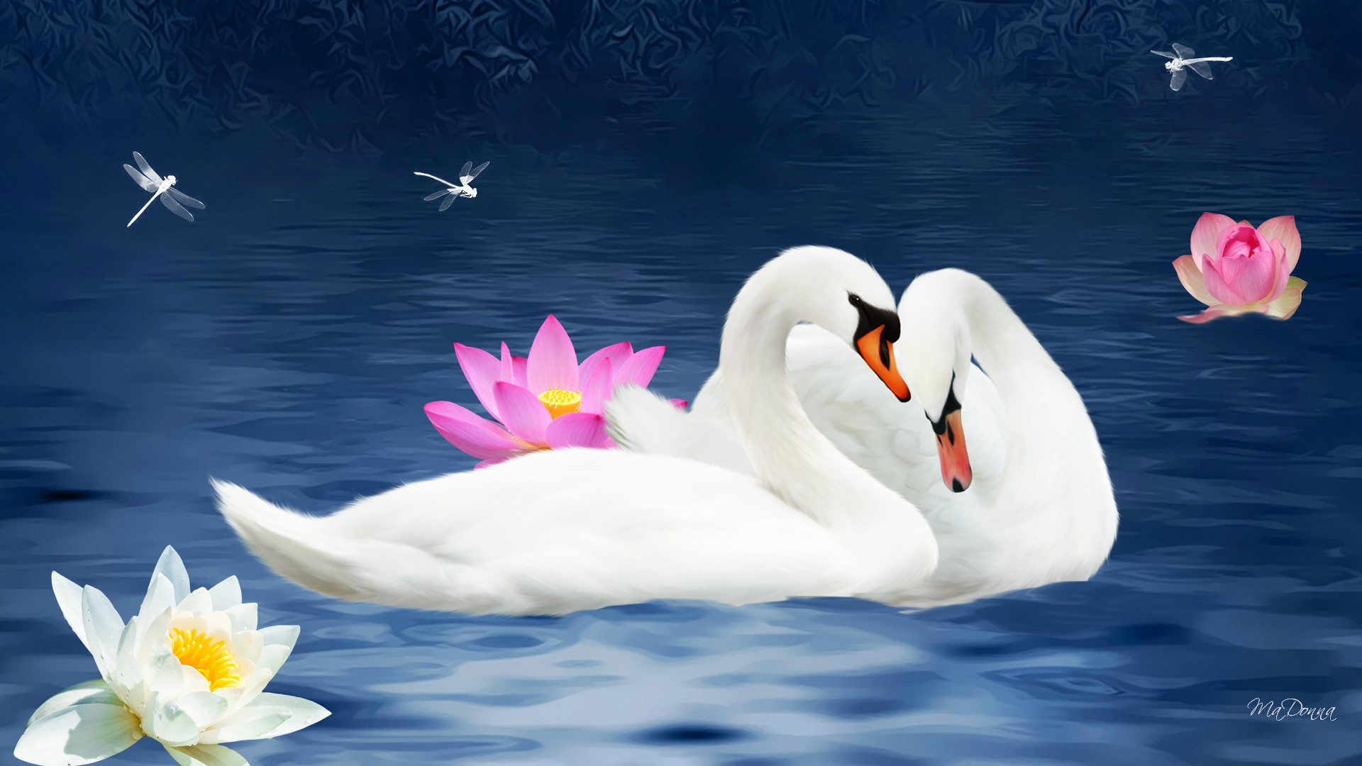 A Romantic Swan HD Wallpaper