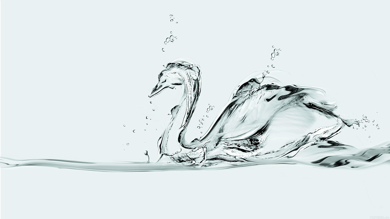 Water Swan White Drop Art Illust