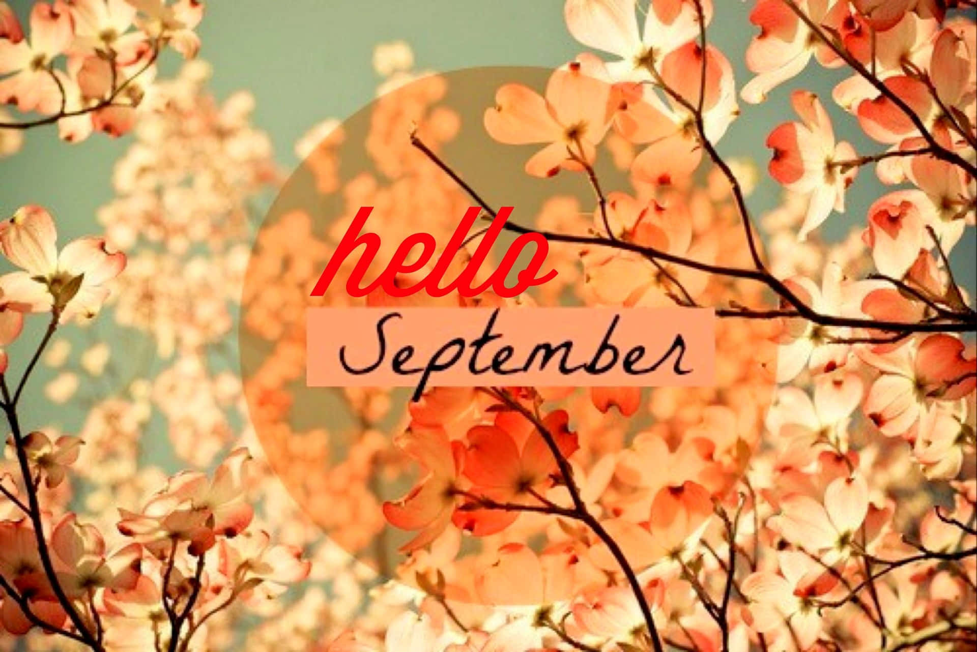 Hello September Wallpaper