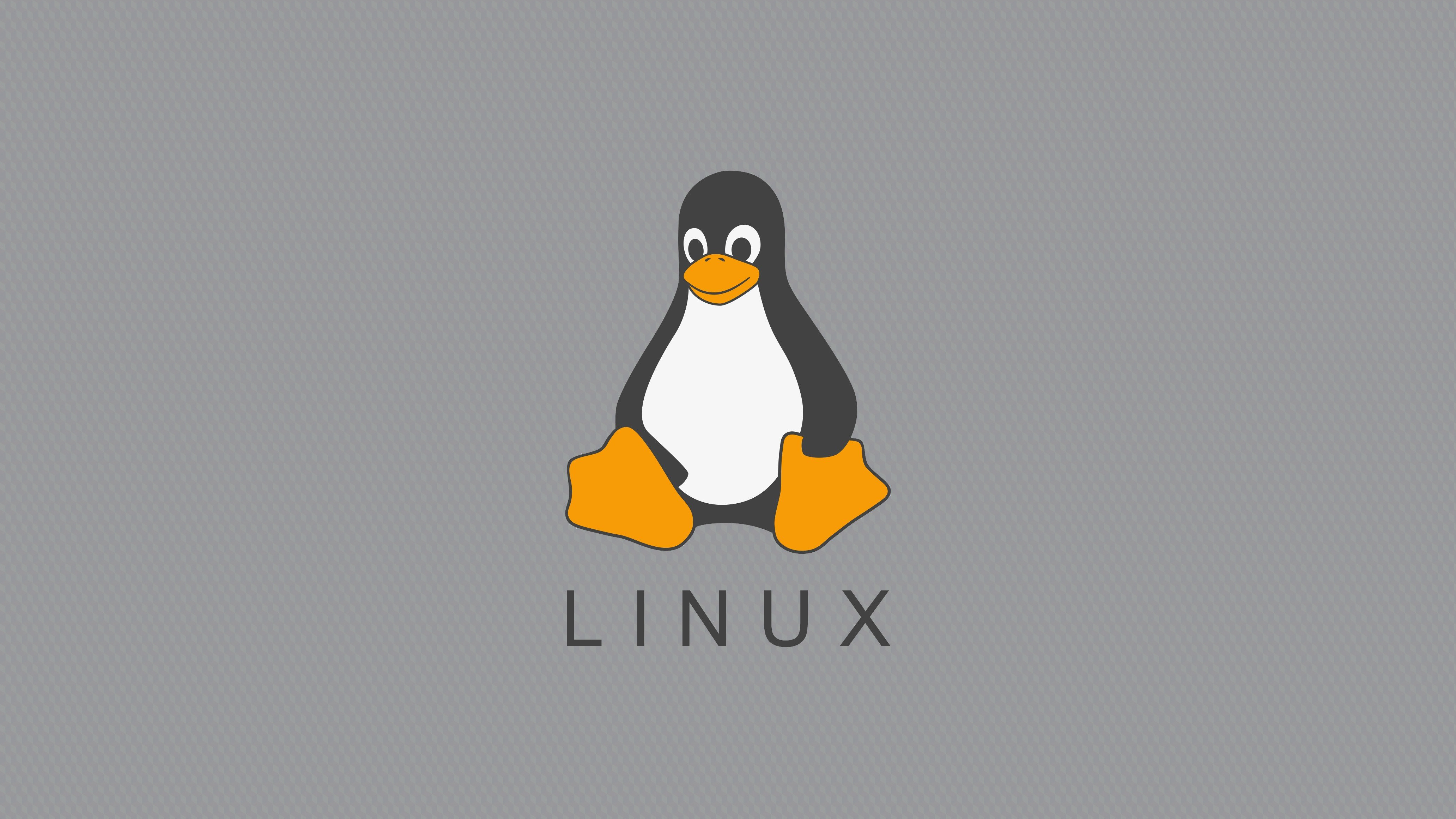 Minimalist Linux Tux Wallpaper, R