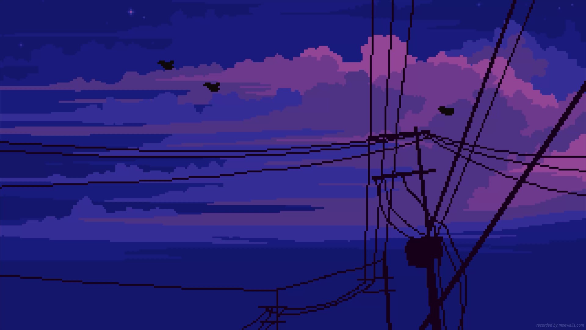 Purple Live Wallpaper, Animated