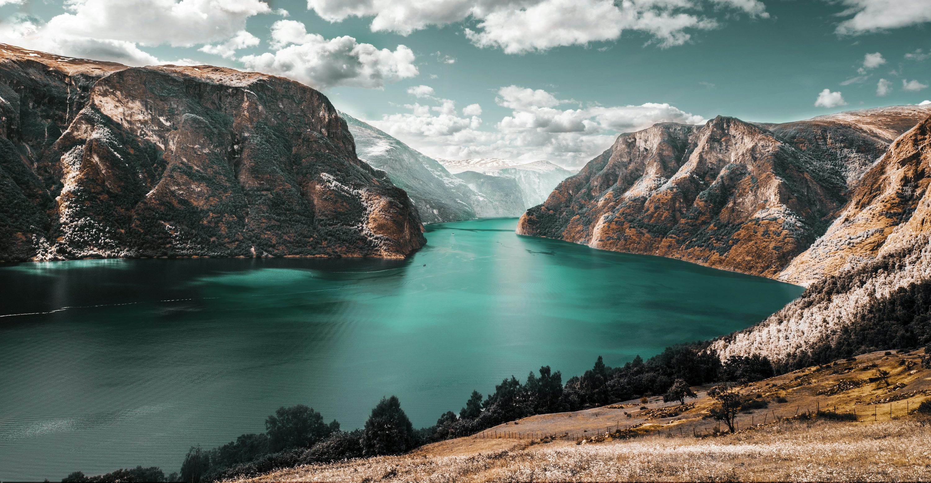 Apple Wallpaper: Free HD Download