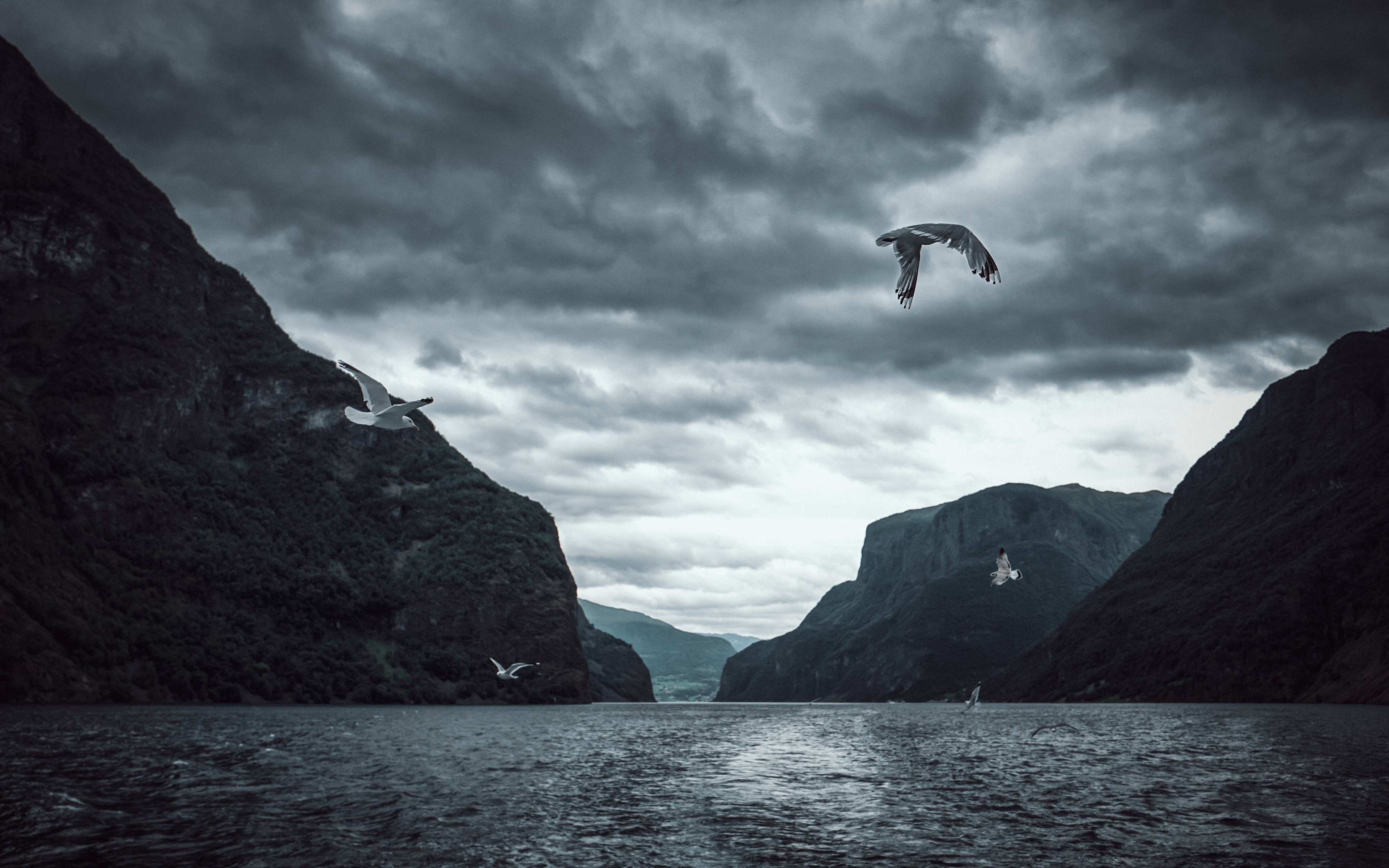 Nature Lake 4k Ultra HD Wallpaper