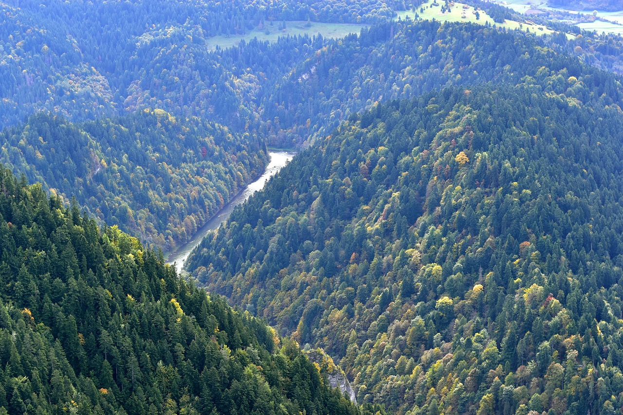 Wallpaper Macbook Green photo