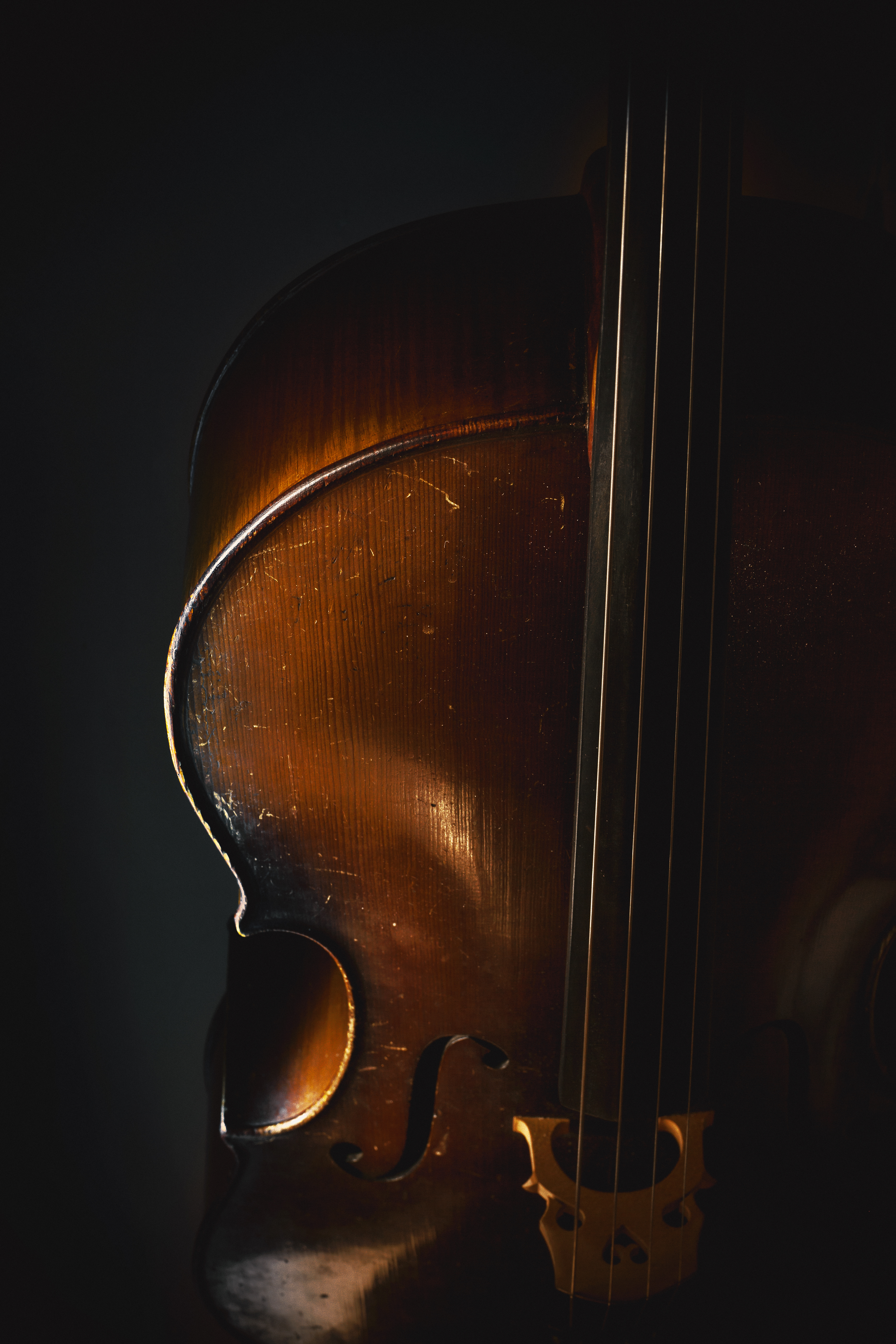 Old Wooden Cello