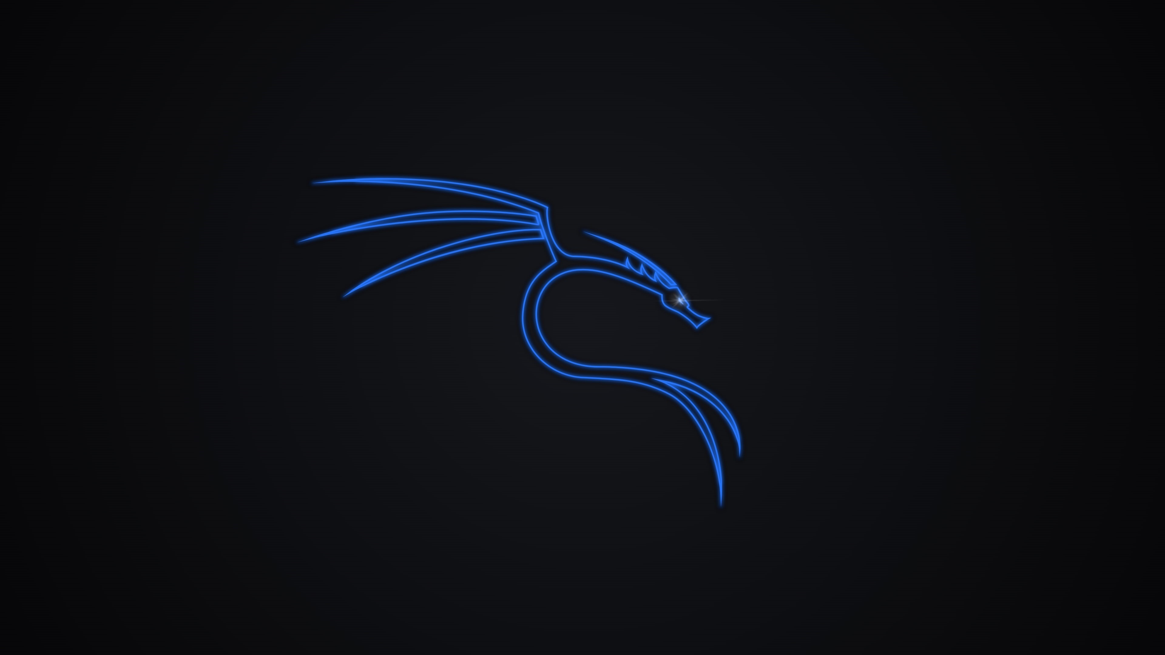 4K Kali Linux Wallpaper