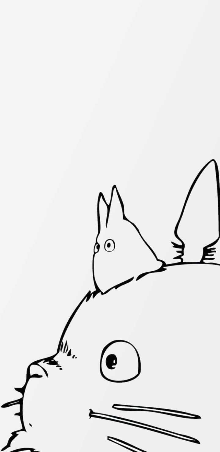 Totoro My Neighbor Totoro