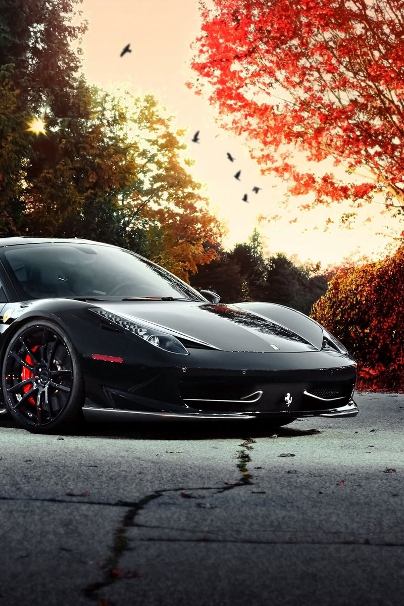 Download wallpaper 800x1200 ferrari