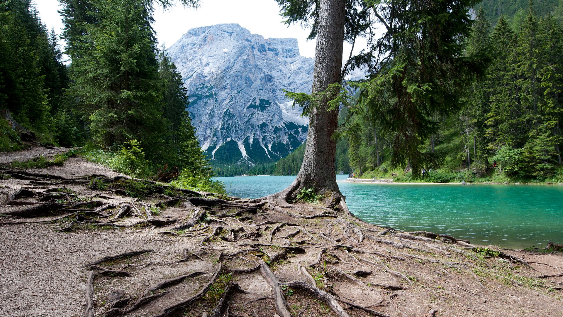 Download Nature Landscape HD Wallpaper