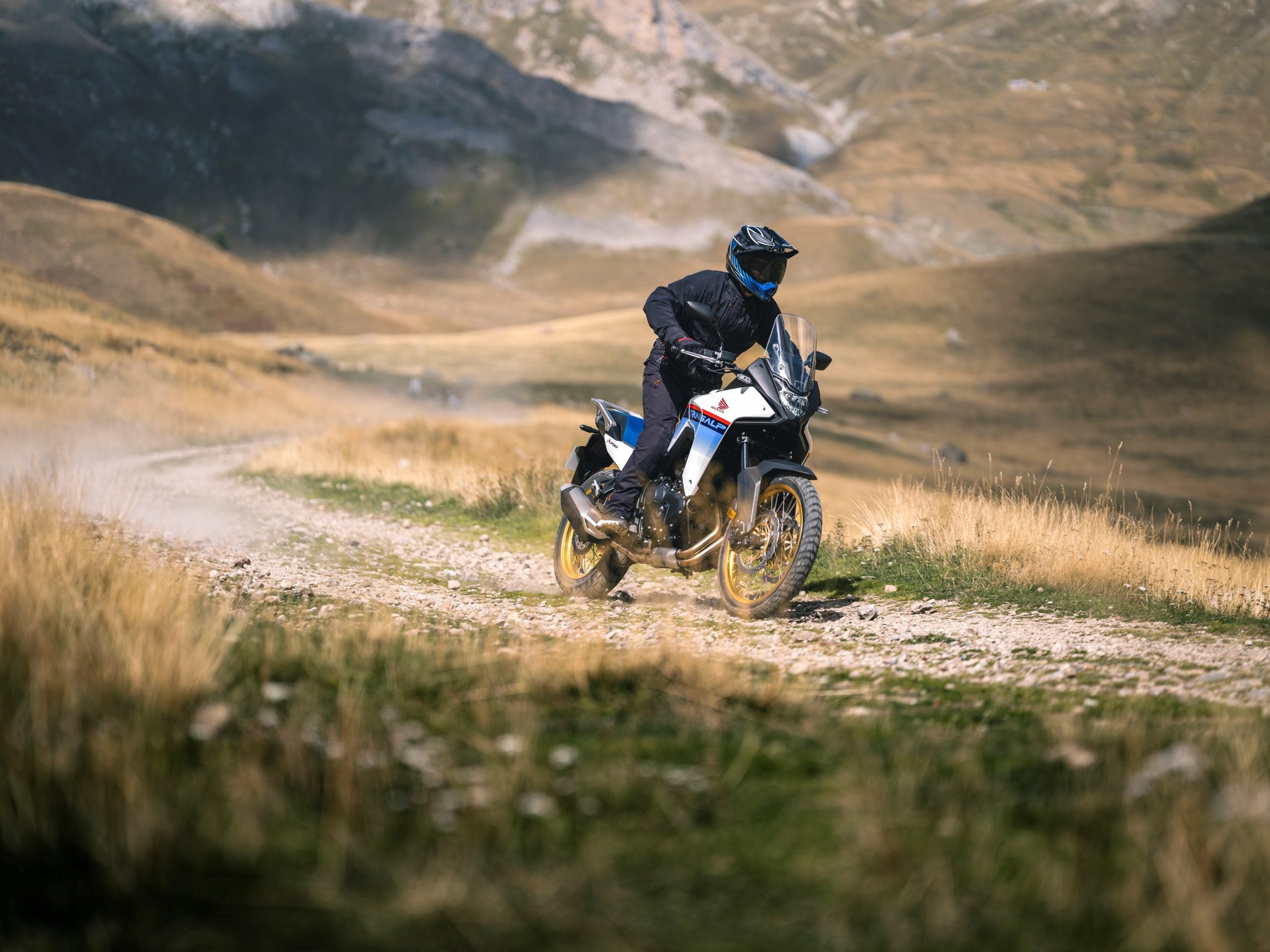 New 2024 Model / Honda Transalp Is