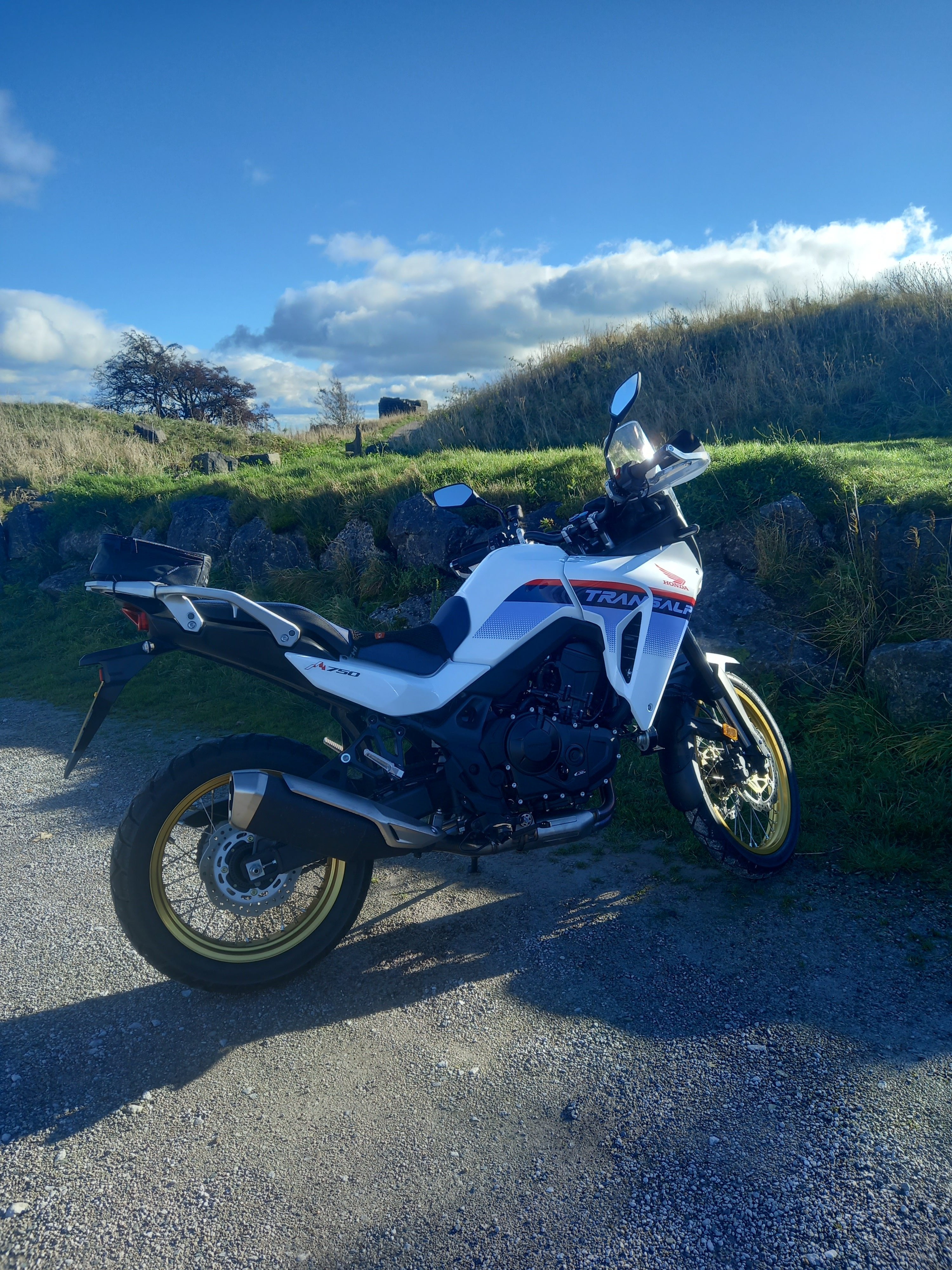 Ross White Honda XL750 Transalp