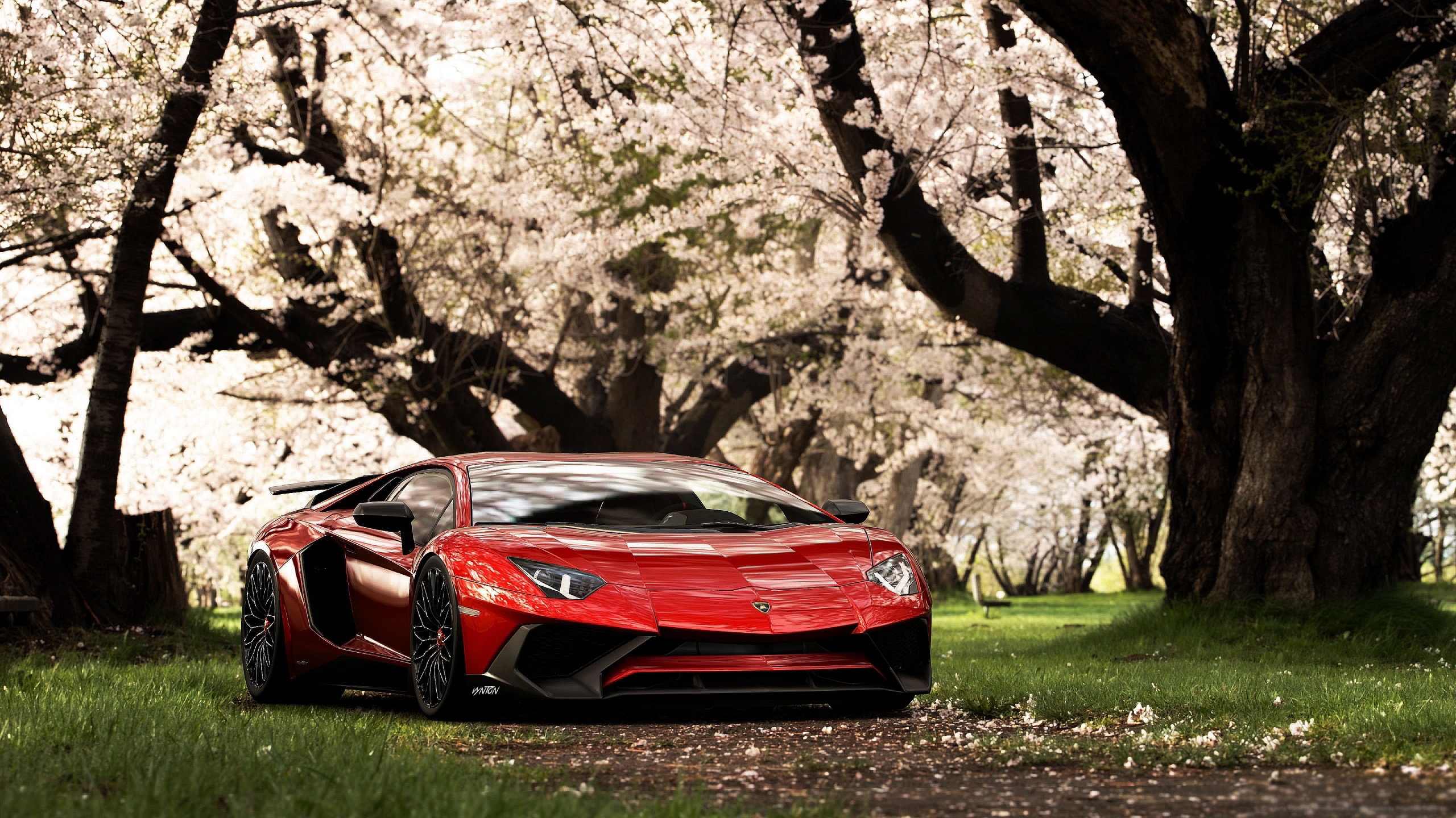 Lamborghini Aventador SV Wallpaper 4K, Cherry trees