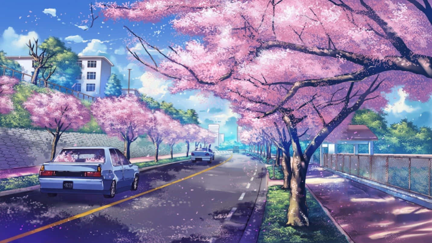Download Anime Cherry Blossom Cars Driving Background