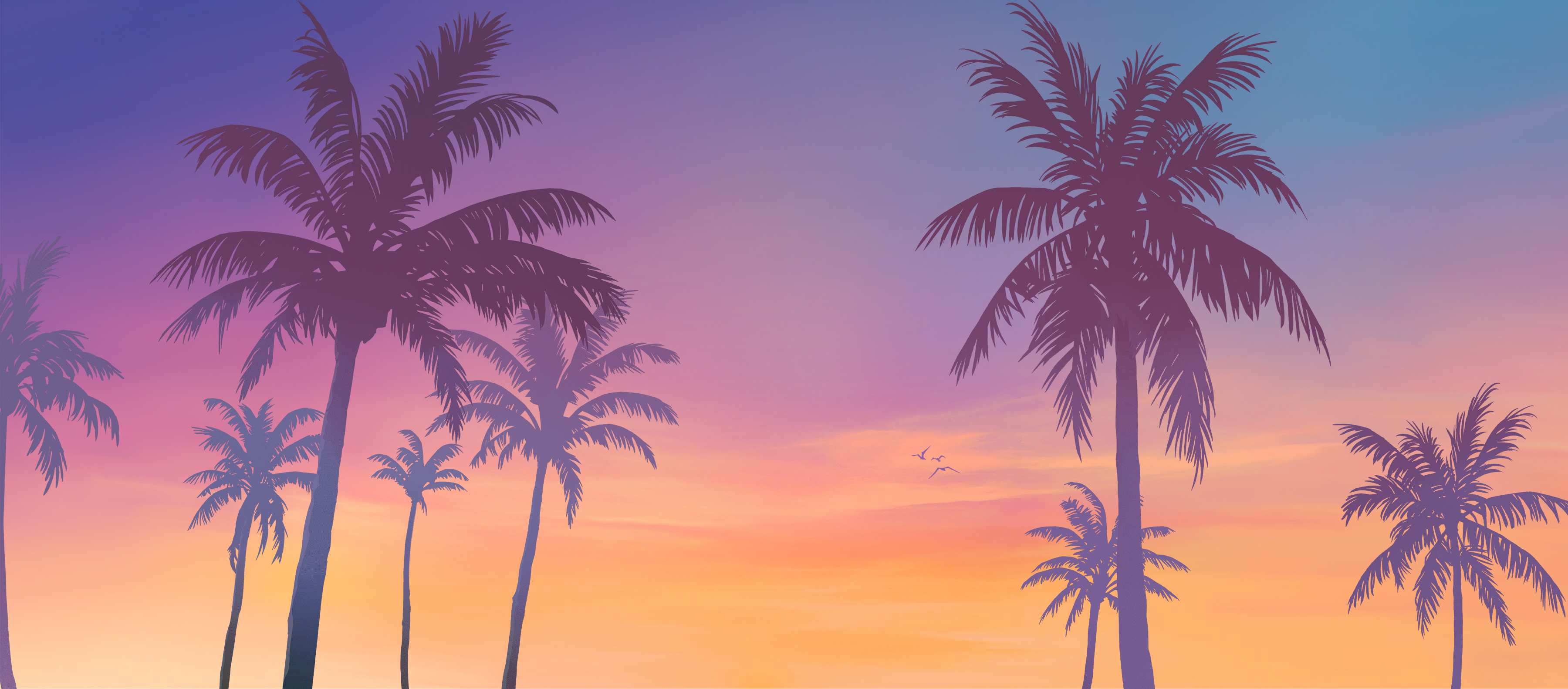 Sun Sunset Bird Gradient HD Wallpaper