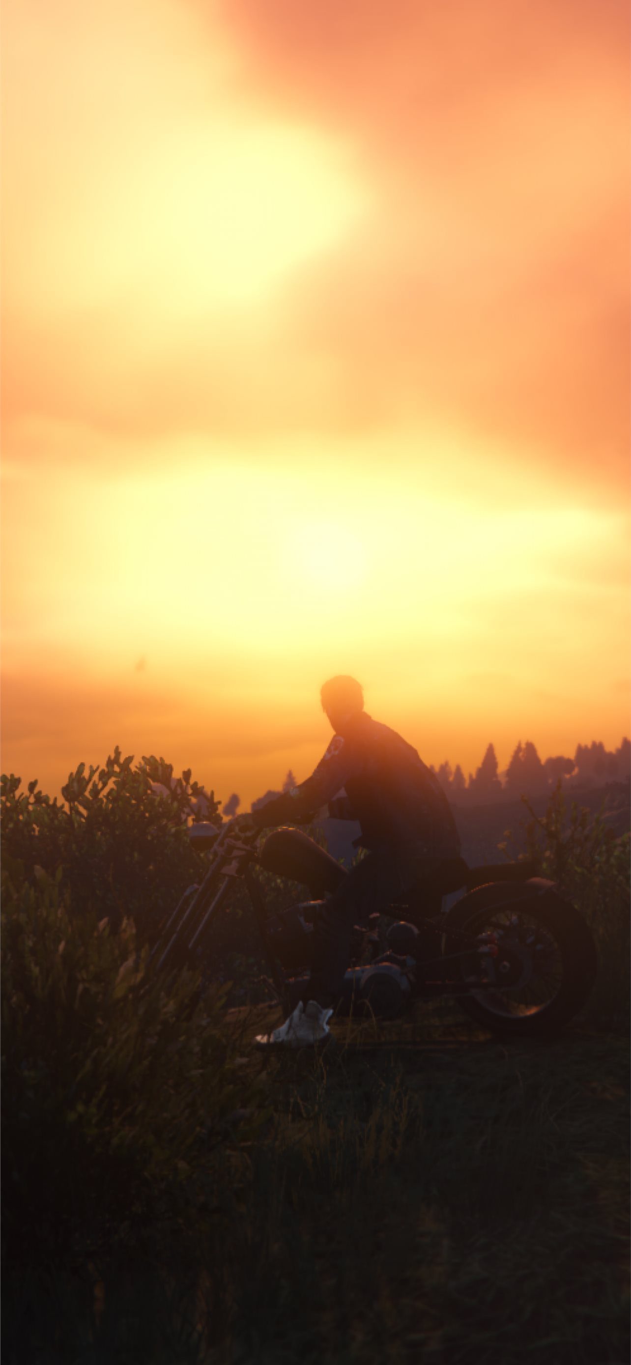 Gta V Sunset Scenic In game Grand Theft