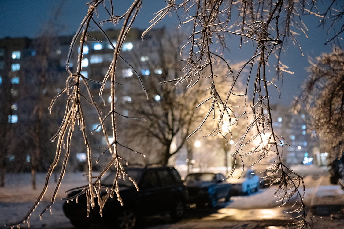 Ice on Tree Branches with a City at