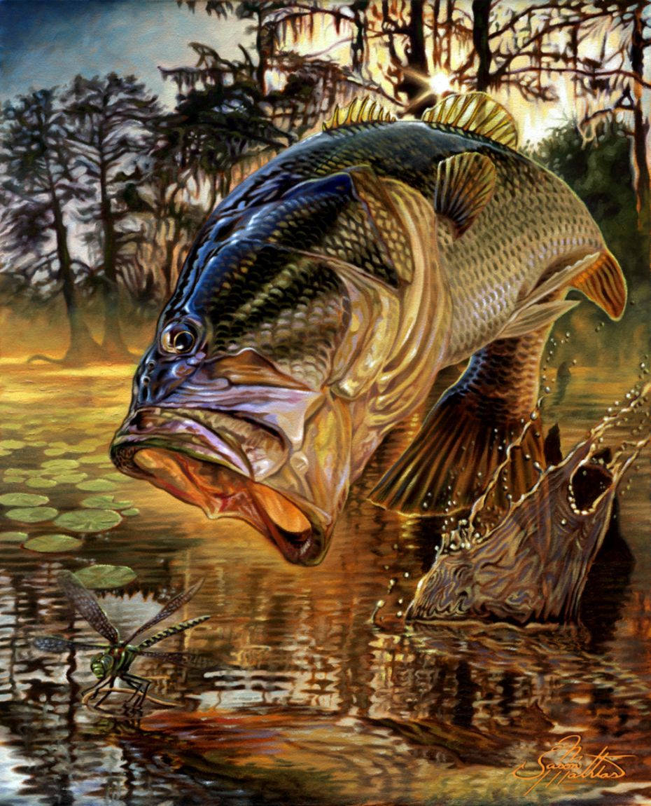 Bass Fishing Wallpaper